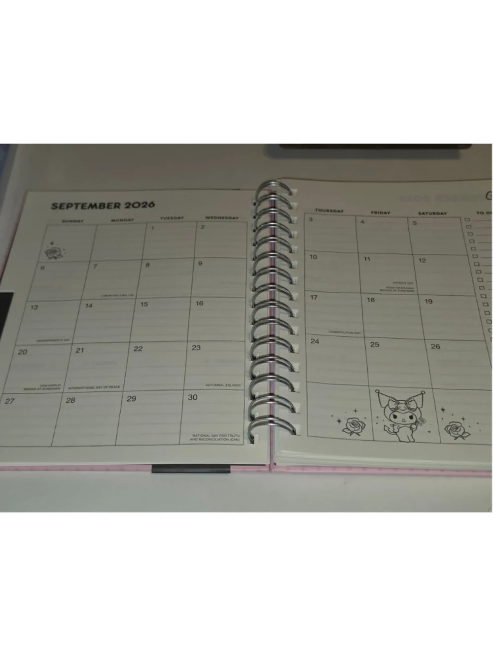 NB-2491 Sanrio Kuromi 17-Month Planner 2026-2027 Hardback Licensed